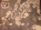Conflict....Increase The Pressure.....12 Vinyl...Punk Rock