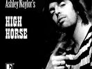 HIGH HORSE (LTD COLOUR VINYL + CD + DOWN - NAYLOR, ASHLEY - Vinyl LP