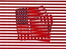 STANDARDS (VINYL) - TORTOISE - Vinyl LP