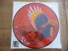 David Bowie The Man Who Sold The World picture Disc LP RSD 2016 disquaire day