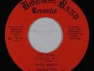 Modern Soul Funk 45 - Larry McGee Revolution - The Burg - Boogie Band - VG+ mp3