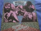BRINSLEY SCHWARZ - NERVOUS ON THE ROAD (Gt. BRITAIN LP '72) NICK LOWE - UA
