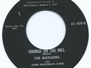 R&B / DOO WOP 45 - GAYLARKS 