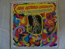 JIMI HENDRIX EXPERIENCE - ARE YOU EXPERIENCED ?