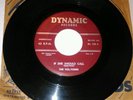 THE VOL-TONES If She Should Call 45 RARE ORIG Doo Wop DYNAMIC 108 VG+ NO RESERVE