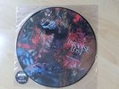 PARADISE LOST draconian times picture LP signiert vinyl