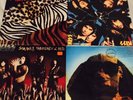 KISS Vinyl (Animalize, Crazy Nights, Hot In The Shade, Smashes Thrashes & Hits)