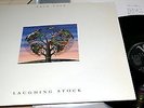 LP TALK TALK - LAUGHING STOCK RARE 847 717-1 siehe / LOOK GALERIE ? 1991 + OIS