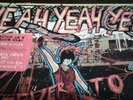 Yeah Yeah Yeahs Fever to Tell Vinyl LP Picture Disc With Sleeve Original EX/EX