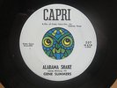 GENE SUMMERS Alabama Shake HEAR RARE 1964 Texas Rocker 45 CAPRI VG+ Rockabilly