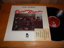 Flamin Groovies 70s ROCK DJ LP Still Shakin 1976 USA ISSUE