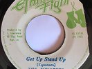 THE EQUATORS - GET UP STAND UP - ETHNIC FIGHT ( RARE KILLER ROOTS 7 )