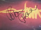 Robin Trower-Victims Of The Fury-LP 1984 Chrysalis PV 41215 Autograph Signed