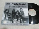 WHITESNAKE 