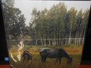 PIANOS BECOME THE TEETH Old Pride LP NEW BLUE Vinyl