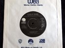 RARE GUNS N' ROSES PARADISE CITY CANADA PROMO VINYL 45RPM 