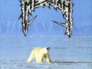 MESSIAH - Extreme Cold Weather (Re-release) - Vinyl-LP - splatter Vinyl