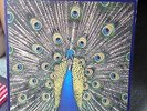 THE BLUETONES EXPECTING TO FLY VINYL LP IN EX CONDITION WITH POSTER