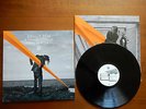 PHILLIP BOA & THE VOODOOCLUB - FAKING THE BLEND IN - VINYL KLAPPCOVER von 2007 