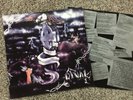 Rival The True Will Survive Lp Isd