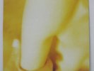 SMASHING PUMPKINS - PISCES ISCARIOT LP 1994 US ORIG YELLOW VINYL Carolain HOLE