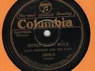 78 rpm Alec Johnson Columbia 14378-D in V+E- (with Bo Carter) Hear