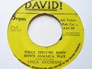 Leila Duchesne What They're Doin' Down Jamaica Way David LD-01 RARE SOUL FUNK 45