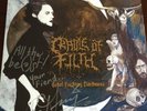 Cradle Of Filth Total Fucking Darkness Blue Vinyl Signed And Numbered 1 Of 15