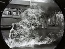 Rage Against The Machine NEW VINYL LP PICTURE DISC *FREE UK POST *WORLD SHIP