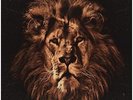 John Butler Trio - April Uprising - Double Vinyl LP + CD - Pre Order - 17/6