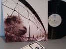 Pearl Jam - VS  - 12