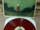 Hidden In Plain View Vinyl LP Life In Dreaming Bronze Rose 500 New Saves The Day