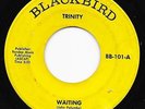 psych TRINITY Waiting BLACKBIRD unknown pre- Crack The Sky c. 1970  HEAR