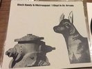 Black Randy & The Metrosquad KBD OriginaI I Slept In An Arcade Dangerhouse M/M