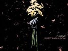 Burst & Bloom - Cursive (2012, Vinyl NEW)
