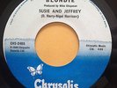 BLONDIE the tide is high  45 PANAMA PRESS NM- / M-