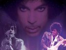 PRINCE 2017 LARGE POSTER WALL CALENDAR NEW & SEALED FREE UK POSTAGE