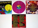 LESS THAN JAKE Losing Streak LP PURPLE VINYL /333 bouncing souls rancid NOFX afi