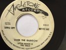 RARE DOO-WOP PROMO 45/ LITTLE BUTCH & VELLS 