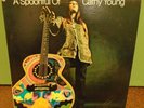 Folk Psych Cathy Young A Spoonful Of Mainstream S/6121 Original Press NM