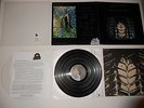 Chris Squire Fish Out of Water 1975 Japan 1st Analog Press ULTRASONIC CLEAN