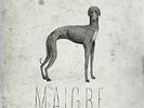 Maigre [Analog] Igorrr & Ruby My Dear LP Record