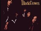 Shake Your Money Maker - Black Crowes 602537494248 (Vinyl Used Very Good)