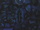 Marillion - Holidays in Eden