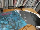 AMON DUUL II - PHALLUS DEI 1969 1st Press German LIBERTY Krautrock Monster