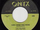 VELOURS - Onyx 520 (green lbl) - Can I Walk You Home / Remember - '58 DOO-WOP 45