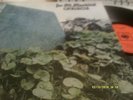 CHRISTIE/FOR ALL MANKIND  VG+TONEX/EXTONM CBS LP