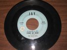 THE BLUE JAYS 45 Point Of View w/ That Feelin JAY  Orig NORTHERN SOUL