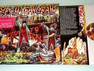 Yeah Yeah Yeahs - Fever to Tell – 180g Colored Vinyl LP Picture Disc/first press