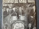 GARAGE 45 The Accents Birds In My Tree Rare Pic Sleeve Planet 82468 M- HEAR MP3